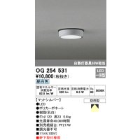 オーデリック　OG254531　エクステリアダウンライト(軒下用) LED一体型 非調光 白熱灯60W相当 昼白色 マットシルバー