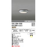 オーデリック　OG254532　エクステリアダウンライト(軒下用) LED一体型 非調光 白熱灯60W相当 電球色 マットシルバー