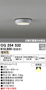 オーデリック　OG254532　エクステリアダウンライト(軒下用) LED一体型 非調光 白熱灯60W相当 電球色 マットシルバー