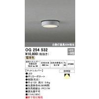 オーデリック　OG254532　エクステリアダウンライト(軒下用) LED一体型 非調光 白熱灯60W相当 電球色 マットシルバー