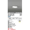 オーデリック　OG254533　エクステリアダウンライト(軒下用) LED一体型 人感センサ ON-OFF型 白熱灯60W相当 昼白色