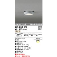 オーデリック　OG254538　エクステリアダウンライト(軒下用) LED一体型 人感センサ ON-OFF型 白熱灯60W相当 電球色