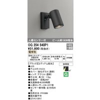オーデリック　OG254540P1　エクステリアスポットライト LED一体型 電球色 ビーム球150W相当 ミディアム配光 防雨型 黒