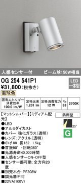 オーデリック　OG254541P1　エクステリアスポットライト LED一体型 電球色 ビーム球150W相当 ミディアム配光 防雨型 マットシルバー