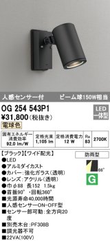 オーデリック　OG254543P1　エクステリアスポットライト LED一体型 電球色 ビーム球150W相当 ワイド配光 防雨型 黒