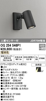 オーデリック　OG254546P1　エクステリアスポットライト LED一体型 電球色 JDR75W相当 ミディアム配光 防雨型 黒