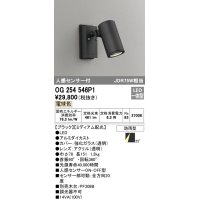 オーデリック　OG254546P1　エクステリアスポットライト LED一体型 電球色 JDR75W相当 ミディアム配光 防雨型 黒