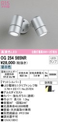 オーデリック　OG254565NR(ランプ別梱)　エクステリア スポットライト LEDランプ 昼白色 防雨型 マットシルバー