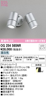 オーデリック　OG254565NR(ランプ別梱)　エクステリア スポットライト LEDランプ 昼白色 防雨型 マットシルバー