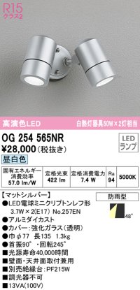 オーデリック　OG254565NR(ランプ別梱)　エクステリア スポットライト LEDランプ 昼白色 防雨型 マットシルバー