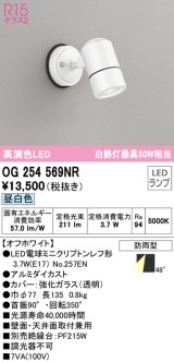 オーデリック　OG254569NR(ランプ別梱)　エクステリア スポットライト LEDランプ 昼白色 防雨型 オフホワイト