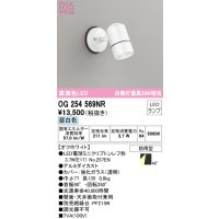 オーデリック　OG254569NR(ランプ別梱)　エクステリア スポットライト LEDランプ 昼白色 防雨型 オフホワイト