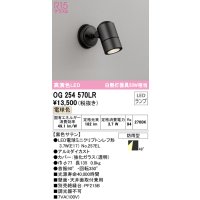 オーデリック　OG254570LR　エクステリア スポットライト LEDランプ 電球色 防雨型 黒色サテン