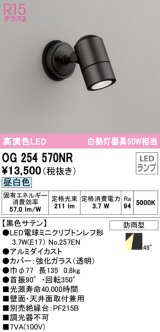 オーデリック　OG254570NR(ランプ別梱)　エクステリア スポットライト LEDランプ 昼白色 防雨型 黒色サテン