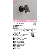 オーデリック　OG254570NR(ランプ別梱)　エクステリア スポットライト LEDランプ 昼白色 防雨型 黒色サテン