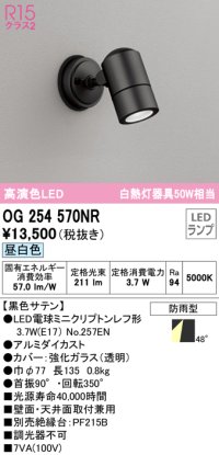 オーデリック　OG254570NR(ランプ別梱)　エクステリア スポットライト LEDランプ 昼白色 防雨型 黒色サテン