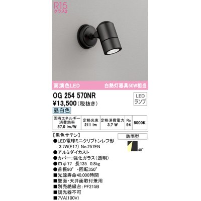 画像1: オーデリック　OG254570NR(ランプ別梱)　エクステリア スポットライト LEDランプ 昼白色 防雨型 黒色サテン