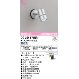 オーデリック　OG254571NR(ランプ別梱)　エクステリア スポットライト LEDランプ 昼白色 防雨型 マットシルバー