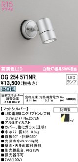 オーデリック　OG254571NR(ランプ別梱)　エクステリア スポットライト LEDランプ 昼白色 防雨型 マットシルバー