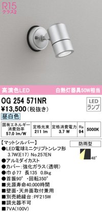 オーデリック　OG254571NR(ランプ別梱)　エクステリア スポットライト LEDランプ 昼白色 防雨型 マットシルバー