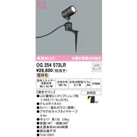 オーデリック　OG254573LR　エクステリア スポットライト LEDランプ 電球色 防雨型 黒色サテン