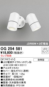 オーデリック　OG254581　エクステリアスポットライト LED 防雨型 オフホワイト ランプ別売