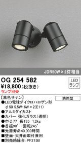 オーデリック　OG254582　エクステリアスポットライト LED 防雨型 黒色サテン ランプ別売
