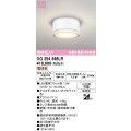 オーデリック OG254598LR(ランプ別梱) エクステリア ポーチライト LEDランプ 電球色 高演色LED 防雨型 オフホワイト
