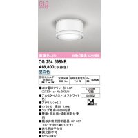 オーデリック OG254598NR(ランプ別梱) エクステリア ポーチライト LEDランプ 昼白色 高演色LED 防雨型 オフホワイト