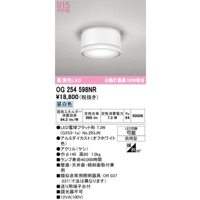画像1: オーデリック OG254598NR(ランプ別梱) エクステリア ポーチライト LEDランプ 昼白色 高演色LED 防雨型 オフホワイト