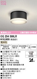 オーデリック OG254599LR(ランプ別梱) エクステリア ポーチライト LEDランプ 電球色 高演色LED 防雨型 黒色