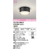 オーデリック OG254599LR(ランプ別梱) エクステリア ポーチライト LEDランプ 電球色 高演色LED 防雨型 黒色
