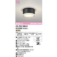 オーデリック OG254599LR(ランプ別梱) エクステリア ポーチライト LEDランプ 電球色 高演色LED 防雨型 黒色