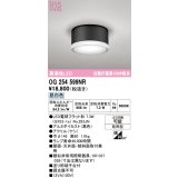 オーデリック OG254599NR(ランプ別梱) エクステリア ポーチライト LEDランプ 昼白色 高演色LED 防雨型 黒色