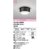 オーデリック OG254599NR(ランプ別梱) エクステリア ポーチライト LEDランプ 昼白色 高演色LED 防雨型 黒色