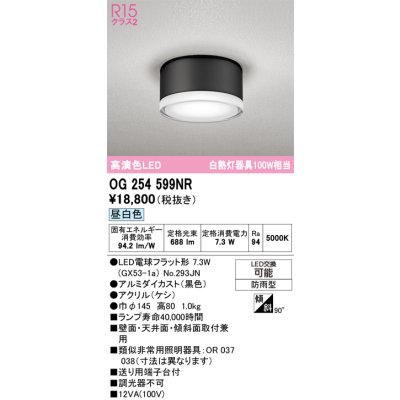 画像1: オーデリック OG254599NR(ランプ別梱) エクステリア ポーチライト LEDランプ 昼白色 高演色LED 防雨型 黒色