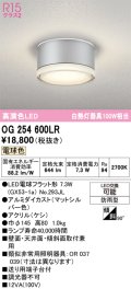 オーデリック OG254600LR(ランプ別梱) エクステリア ポーチライト LEDランプ 電球色 高演色LED 防雨型 マットシルバー