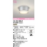 オーデリック OG254600LR(ランプ別梱) エクステリア ポーチライト LEDランプ 電球色 高演色LED 防雨型 マットシルバー