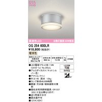 オーデリック OG254600LR(ランプ別梱) エクステリア ポーチライト LEDランプ 電球色 高演色LED 防雨型 マットシルバー