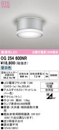 オーデリック OG254600NR(ランプ別梱) エクステリア ポーチライト LEDランプ 昼白色 高演色LED 防雨型 マットシルバー
