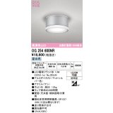 オーデリック OG254600NR(ランプ別梱) エクステリア ポーチライト LEDランプ 昼白色 高演色LED 防雨型 マットシルバー