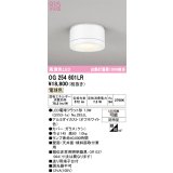 オーデリック OG254601LR(ランプ別梱) エクステリア ポーチライト LEDランプ 電球色 高演色LED 防雨型 オフホワイト