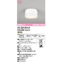 オーデリック OG254601LR(ランプ別梱) エクステリア ポーチライト LEDランプ 電球色 高演色LED 防雨型 オフホワイト