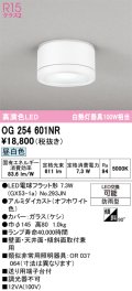 オーデリック OG254601NR(ランプ別梱) エクステリア ポーチライト LEDランプ 昼白色 高演色LED 防雨型 オフホワイト