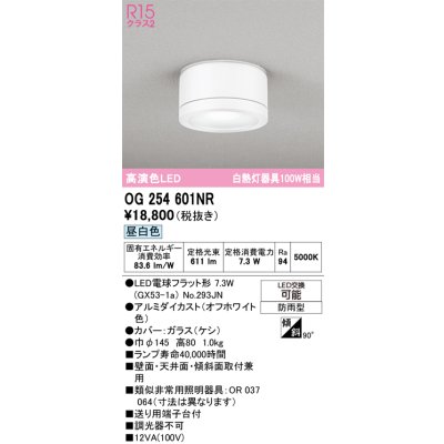 画像1: オーデリック OG254601NR(ランプ別梱) エクステリア ポーチライト LEDランプ 昼白色 高演色LED 防雨型 オフホワイト