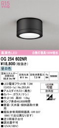 オーデリック OG254602NR(ランプ別梱) エクステリア ポーチライト LEDランプ 昼白色 高演色LED 防雨型 黒色