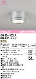 オーデリック OG254603LR(ランプ別梱) エクステリア ポーチライト LEDランプ 電球色 高演色LED 防雨型 マットシルバー