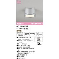 オーデリック OG254603LR(ランプ別梱) エクステリア ポーチライト LEDランプ 電球色 高演色LED 防雨型 マットシルバー