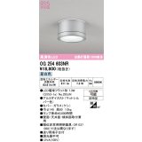オーデリック OG254603NR(ランプ別梱) エクステリア ポーチライト LEDランプ 昼白色 高演色LED 防雨型 マットシルバー