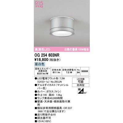 画像1: オーデリック OG254603NR(ランプ別梱) エクステリア ポーチライト LEDランプ 昼白色 高演色LED 防雨型 マットシルバー